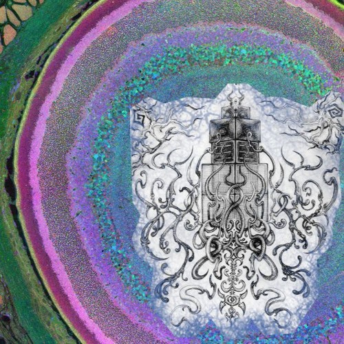 The Involute of a Circle _ Ibex Solstice _ 21.06.25
