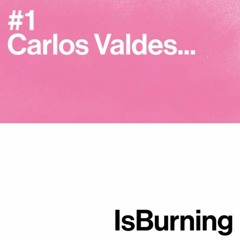 Carlos Valdes  //  IsBurning Podcast Serie #1 // TrouwAmsterdam // July 2014