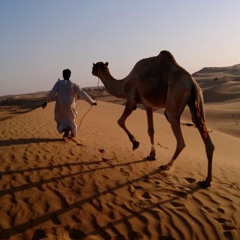 ‎⁨اربّ قلبك مانسى الود؟ ⁩