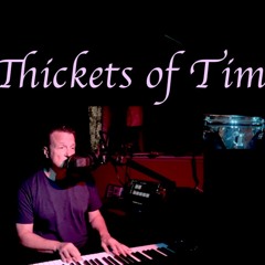 Thickets Of Time