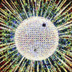 STBB 696 : FUNKY-DISCO-TRAP-WEEK