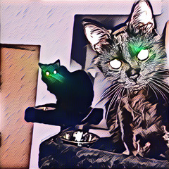 Cycles (sowat collab)