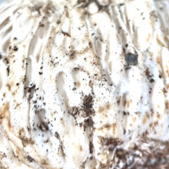 @LYLradio - a Path to the Unknown