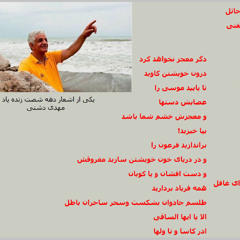 Radio Irava June 15, 2025 with Mr. Iraj Abedini