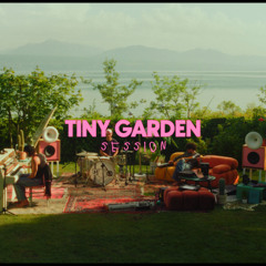 Boy Amor - Live In The Garden