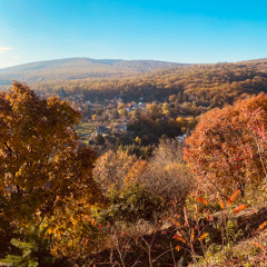 Autumn