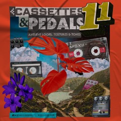 Cassettes & Pedals Vol. 11 Demo