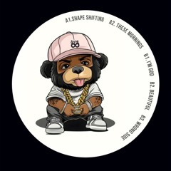 Unknown Artist - Shape Shifting (Alexus Drum & Bass Remix) "12 Release