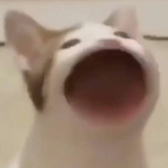 VÌ ngày hôm nay em cưới rồi - Haozi Remaster.mp3