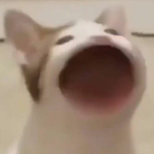 VÌ ngày hôm nay em cưới rồi - Haozi Remaster.mp3