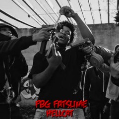 FBG Fatslime - Hellcat (Unreleased)