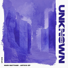 UT109 - MARI MATTHAM - SPACE (Original Mix) Preview