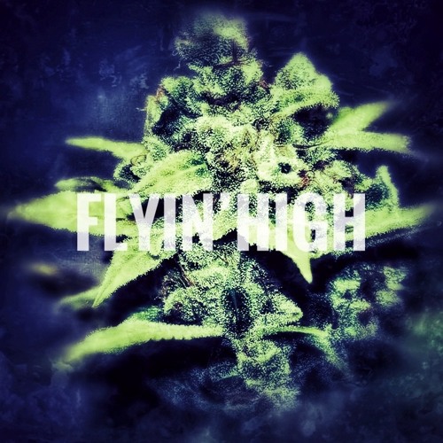 Flyin' High