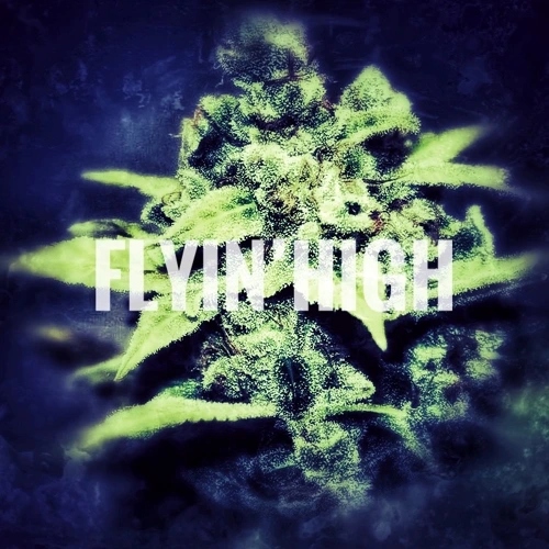 Artwork for the song Flyin' High by NOCTURNALPRIE$T on Next Sound