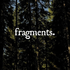 Fragments - In the woods 08.07.23 (02:30 - 03:45)
