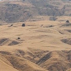 meowmeowrave ft. pip