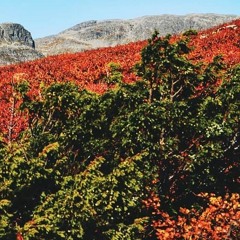 HK_Free_Dance_Sets_106