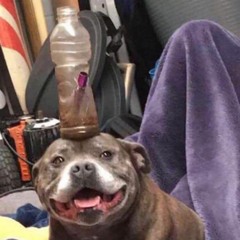 True C - Problems (Prod. Syndrome)