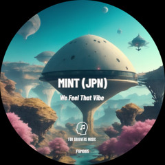 PREMIERE! MINT (JPN) - We Feel That Vibe (Original Mix) For Groovers Music