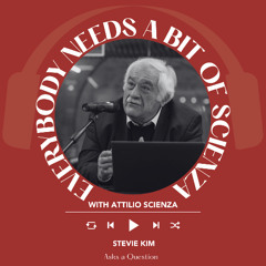 Ep. 2375 Stevie Kim | Everybody Needs A Bit Of Scienza