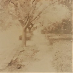 ZachsAtmosphere - Tonight Feat. 104Pyxis