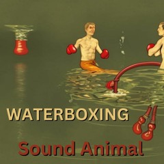 Waterboxing