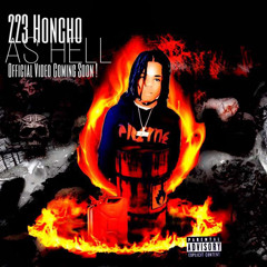 223 Honcho - AS HELL