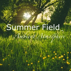 Summer Field - Ambient Atmosphere (5 Min)