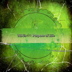 TiDUs - Beyond Fear