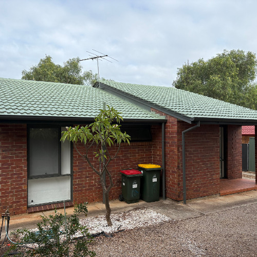 Why Regular Bird Proofing Cleaning is Important for Solar Panels