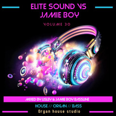 Elite sound vs jamieboy bassline volume 30(mixes by lisley & jamieboy bassline)(fd)