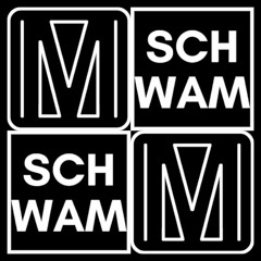 MIXL B2B Schwam (January Live B2B)