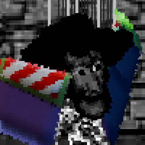 Deal Done Donkeywatered