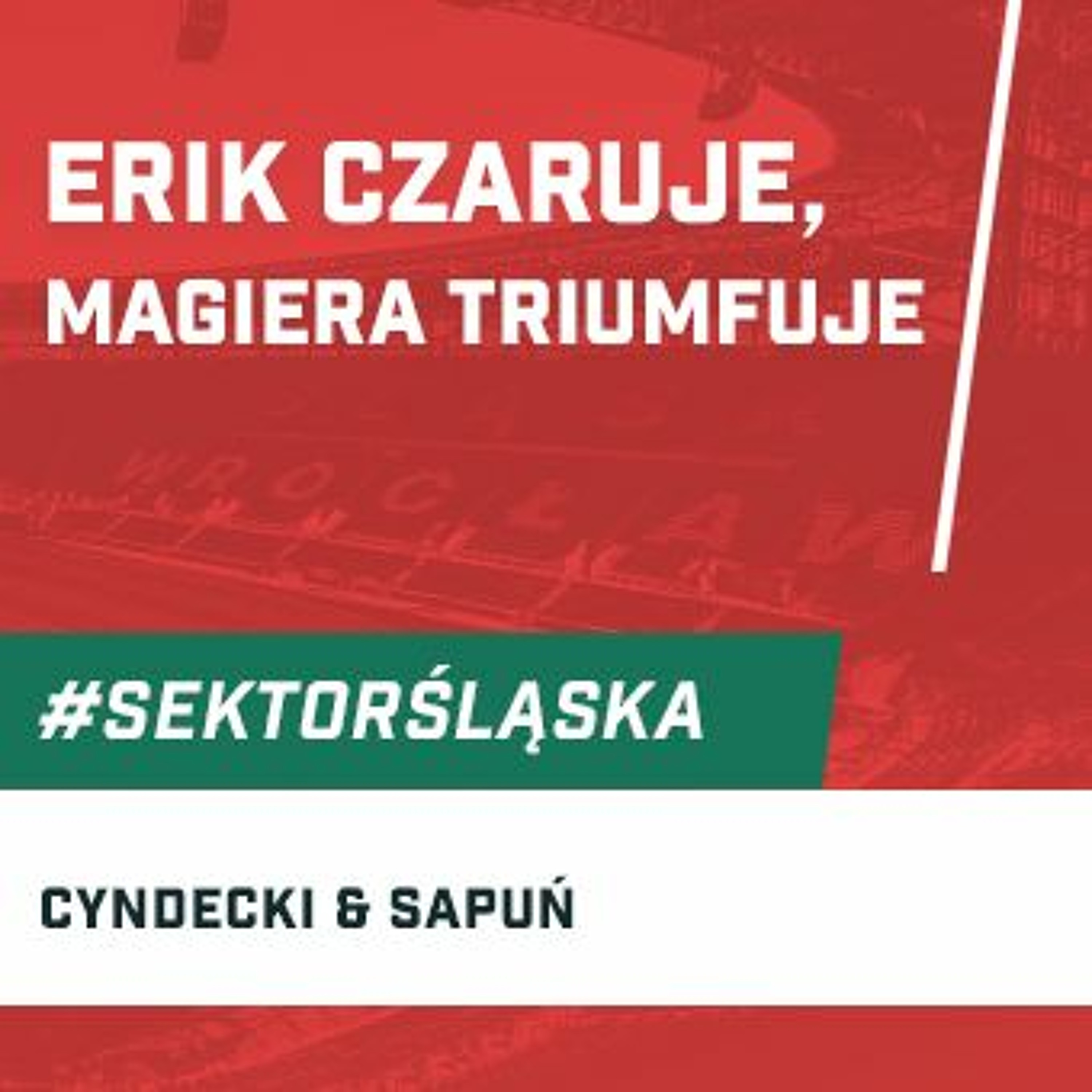 Śląsknet