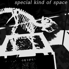 Special kind of space