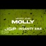 JOEL CORRY - CEDRIC GERVAIS - MOLLY - INSANITY RMX