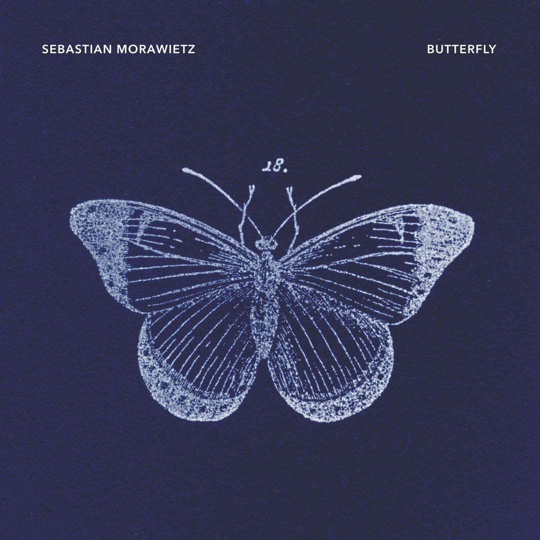 Stream Butterfly (Piano Solo) by Sebastian Morawietz | Listen