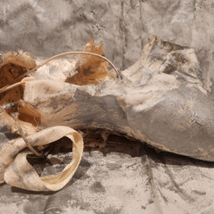 Jem Clancy audio description