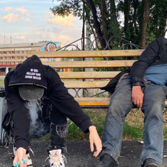 NZDAYOU ZVUKI