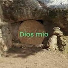 Untitled ProjectSalmo Responsorial Sal 41, 3. 5bcd;42, 3. 4 ‐ Made With Clipchamp
