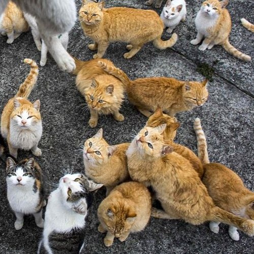 BDAY!!! W Ben, Twisted, Woonerf, Lumina,Daikyu ,Scr4mbl ,And Ho4