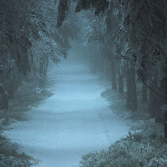 Reverie