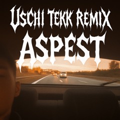 Uschi - MC Windhund Tekk RMX [ASPEST]