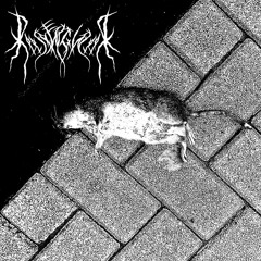 Wrong Place To Die ft Nds.Raven