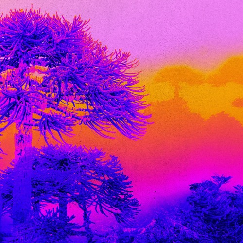 [MAGIC018] Bosquemar - Sendero (Digital Exclusive)