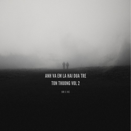 Anh Va Em La Hai Dua Tre Ton Thuong Vol 2 - NM x NC