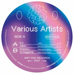 PREMIERE : Shimmy - Wavebreaker