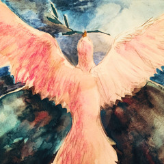 Where I'm going at A place I wish I knew I was