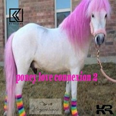 PONEY LOVE CONNEXION.2