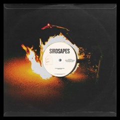 PREMIERE: SIRDSAPES Exclusive Mix 24.08.22